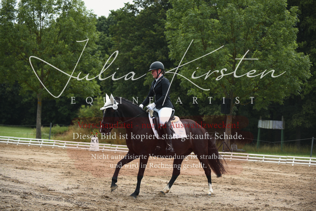 DSC_0005 | Pferde- und Turnierfotografie in Westsachsen. Pferdeportraits, Auftragszeichnungen und intuitive Kunst.