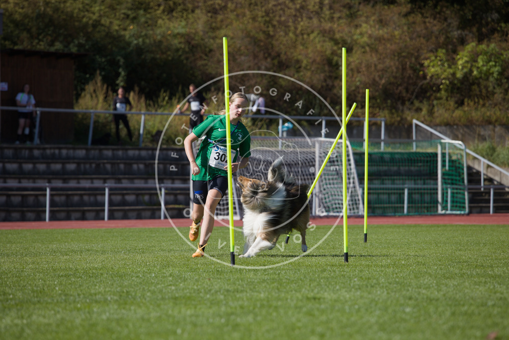 0L8A7310 | Hundefotografie, Tierfotograf, Pfotenfotografie, Fotoshooting Hund, Hunde Portrait, Hundesport, Hundeportraits, Heideshooting, Hunde, Sportfotograf, Hundefotograf, Turnierhundsport, THS,  - Realisiert mit Pictrs.com