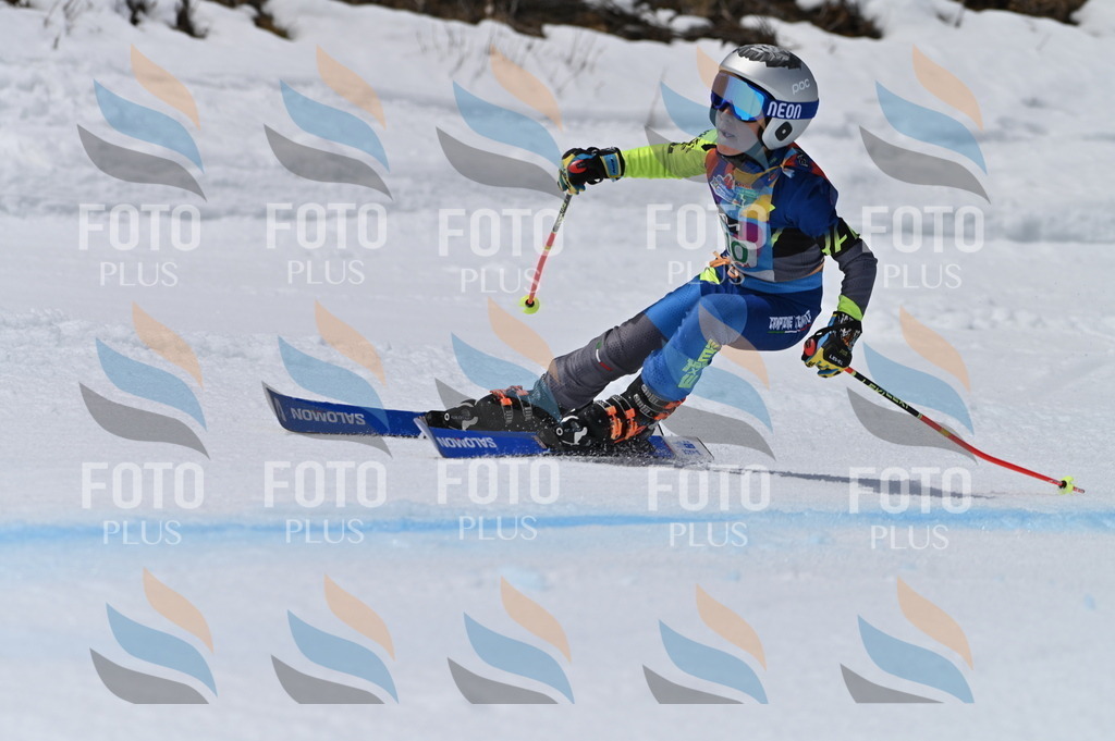 BGV_6151 | holidayphoto