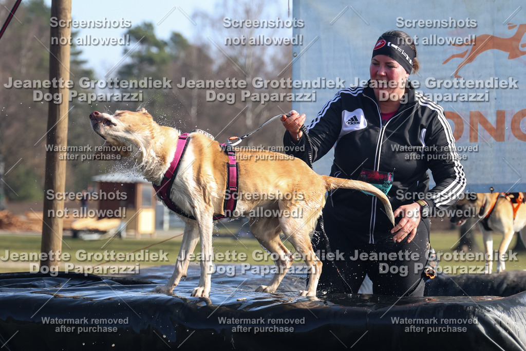 Dog Paparazzi - Strongdog North Mrz26-1260 | Dog Paparazzi Jeanette Grottendiek Fotografie & Videografie - Realisiert mit Pictrs.com