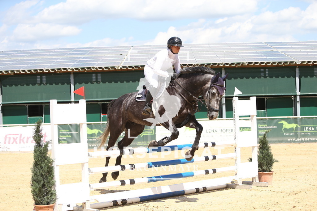 DL2Q5213 | Willkommen bei Brunnmayr - Design & Fotografie – Ihrem Spezialisten für Reitturniere und Pferdeveranstaltungen in Oberösterreich, Salzburg und Bayern! Seit über 17 Jahren sind wir leidenschaftlich dabei.