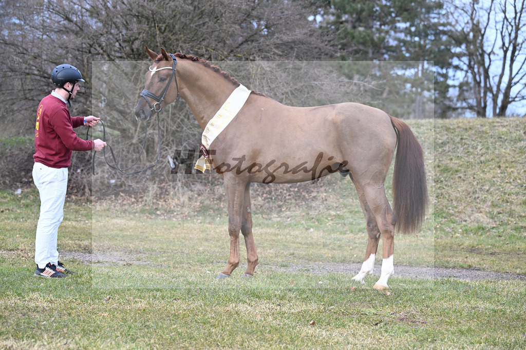 Kat.-Nr. 83 v. Va Bene_Winklmaier_2252283 | hf-fotografie - Realisiert mit Pictrs.com