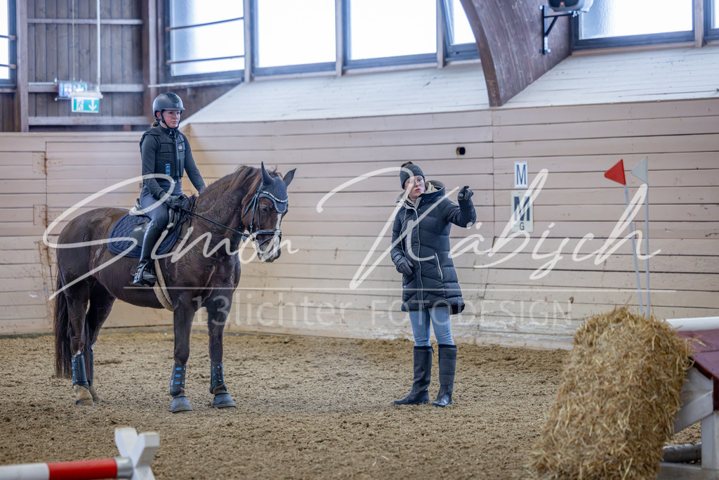 20260221-_3LI8734 | Tierfotografie Pferde, Hunde, Katzen, Haustiere.
Turnierfotografie Reitturniere, Reiten, Springreiten, Dressur in Hanau, dem Main-Kinzig-Kreis und dem Rhein-Main- Gebiet um Frankfurt
