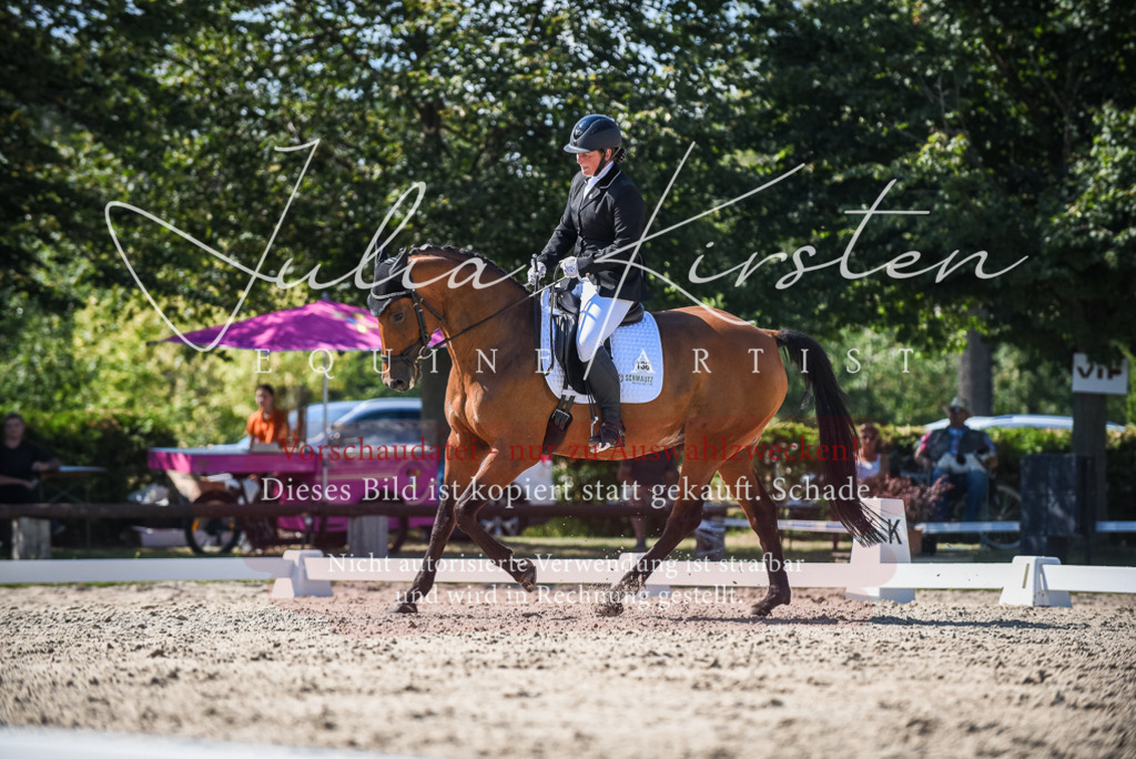 DSC_9653 | Pferde- und Turnierfotografie in Westsachsen. Pferdeportraits, Auftragszeichnungen und intuitive Kunst.