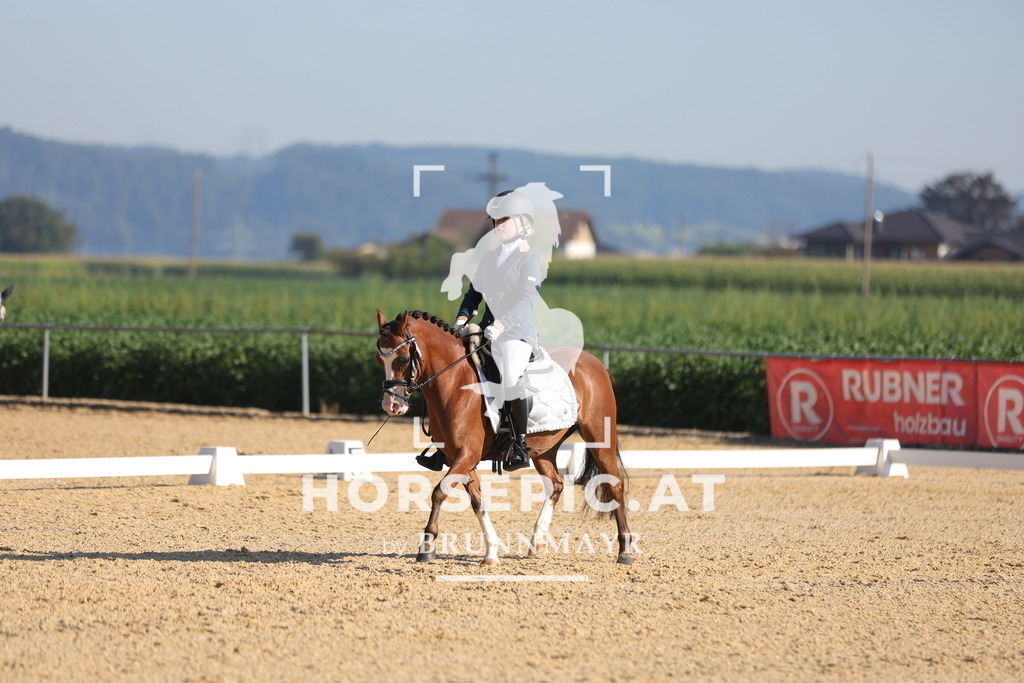 0P6A7334 | Willkommen bei Brunnmayr - Design & Fotografie – Ihrem Spezialisten für Reitturniere und Pferdeveranstaltungen in Oberösterreich, Salzburg und Bayern! Seit über 17 Jahren sind wir leidenschaftlich dabei.
