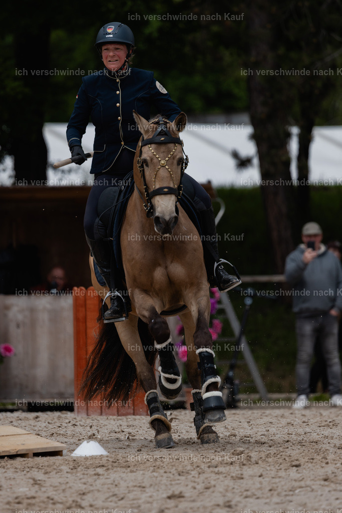 PI26_SP_StoibphotographyC2_C2016.jpg | working equitationturnier fotograf videograf stoibphotography marixx film working equitation deutschland reitsport turnierfotografie eventfotografie equestrian events