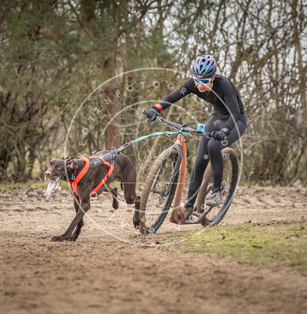 Pfotenfotografie_DV3A9014 | Hundefotografie, Tierfotograf, Pfotenfotografie, Fotoshooting Hund, Hunde Portrait, Hundesport, Hundeportraits, Heideshooting, Hunde, Sportfotograf, Hundefotograf, Turnierhundsport, THS,  - Realisiert mit Pictrs.com