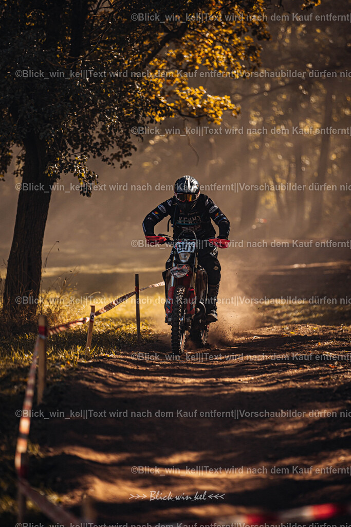 E68A6044 | blick_win_kel