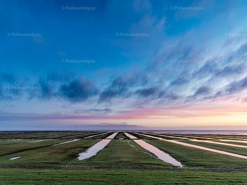 pellworm-kalender-2024-07-denoise-enhance-2x-sharpen | Pellwormer Bilder und Fotos als Poster, auf Leinwand mit Keilrahmen, hinter Acrylglas, auf Alu-Dibond oder Forex-Platte und vieles mehr. Zum verschenken, für die Ferienwohnung oder für zu Hause. - Realisiert mit Pictrs.com