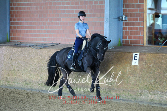 DKP42727 | Turniersportfotografie; Pferdefotografie; Dressurfotografie