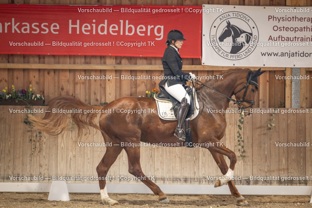 _D5A8370 | Emotionale Pferde- & People-Fotografie rund um Heidelberg, Leimen & Umgebung. Natürliche Fotos von Pferd, Mensch & Familie. Jetzt Termin sichern!