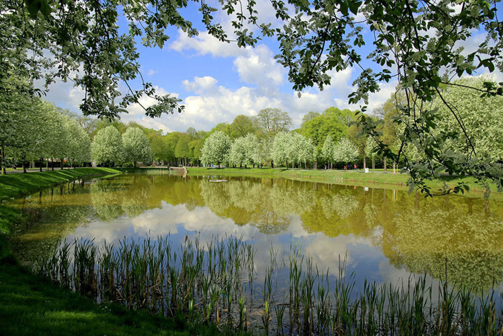 Bildlexikon Leipzig - Clara-Zetkin-Park | Das Team hinter BILDLEXIKON LEIPZIG bündelt historische wie aktuelle Informationen über die Stadt Leipzig in Text und Bild auf einer Plattform und stellt diese der interessierten Öffentlichkeit zur Verfügung.