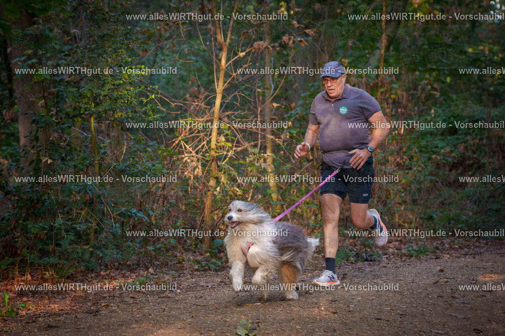 THS_Turnier_27-09-2026-allesWIRTHgut_Tierfotografie-7R505039 | Professionelle Tierfotografie in Mönchengladbach von Daniel Wirth (allesWIRTHgut). Liebevolle & natürliche Bilder von Hunden & Katzen für unvergessliche Erinnerungen.