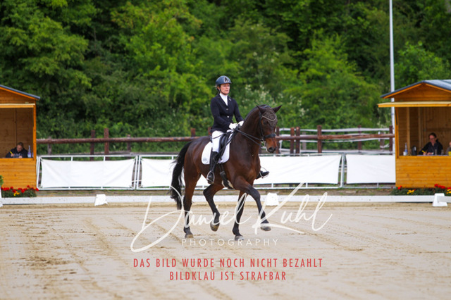 DKP47631 | Turniersportfotografie; Pferdefotografie; Dressurfotografie