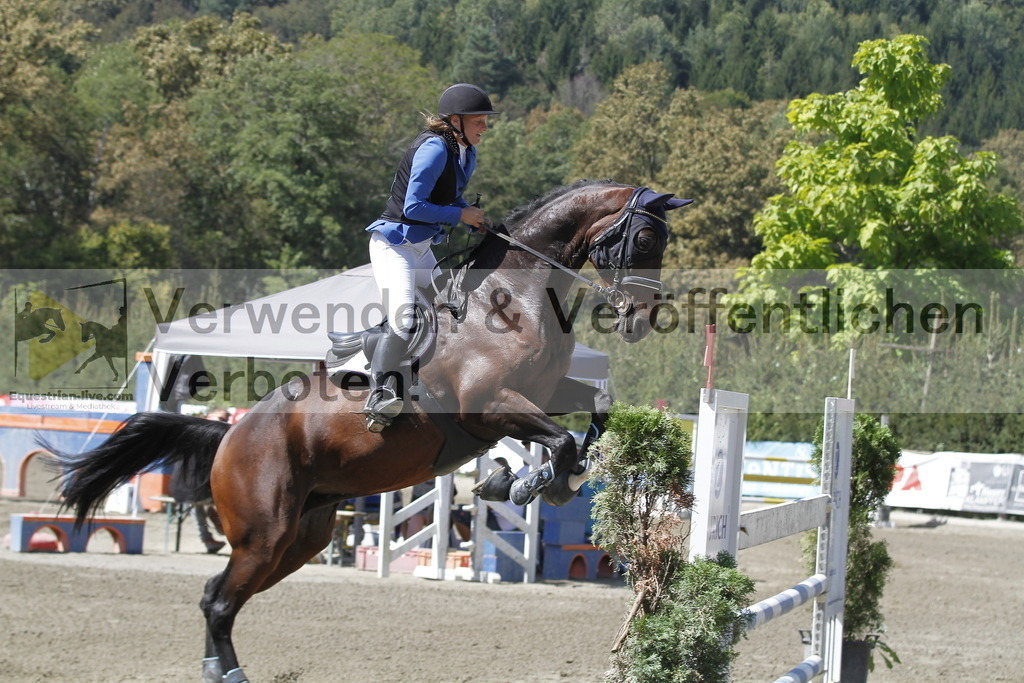 _MG_6243 | equestrian-live-com