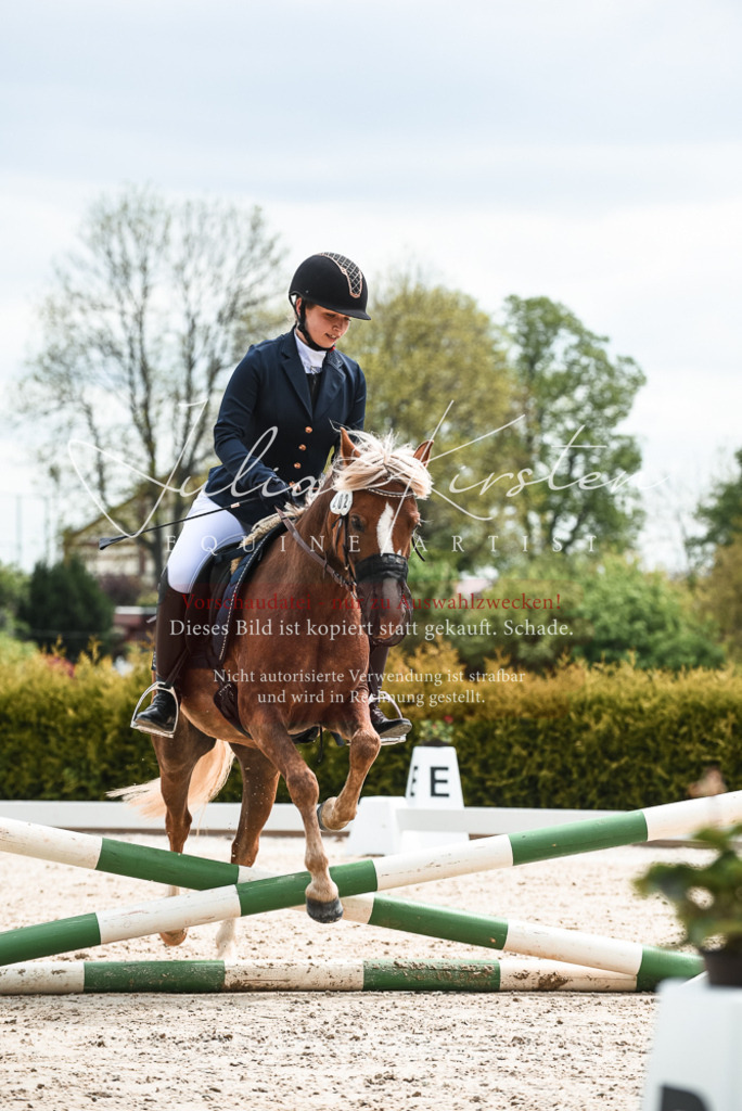 20230518_JK-Röhrsdorf-10-310 | Pferde- und Turnierfotografie in Westsachsen. Pferdeportraits, Auftragszeichnungen und intuitive Kunst.