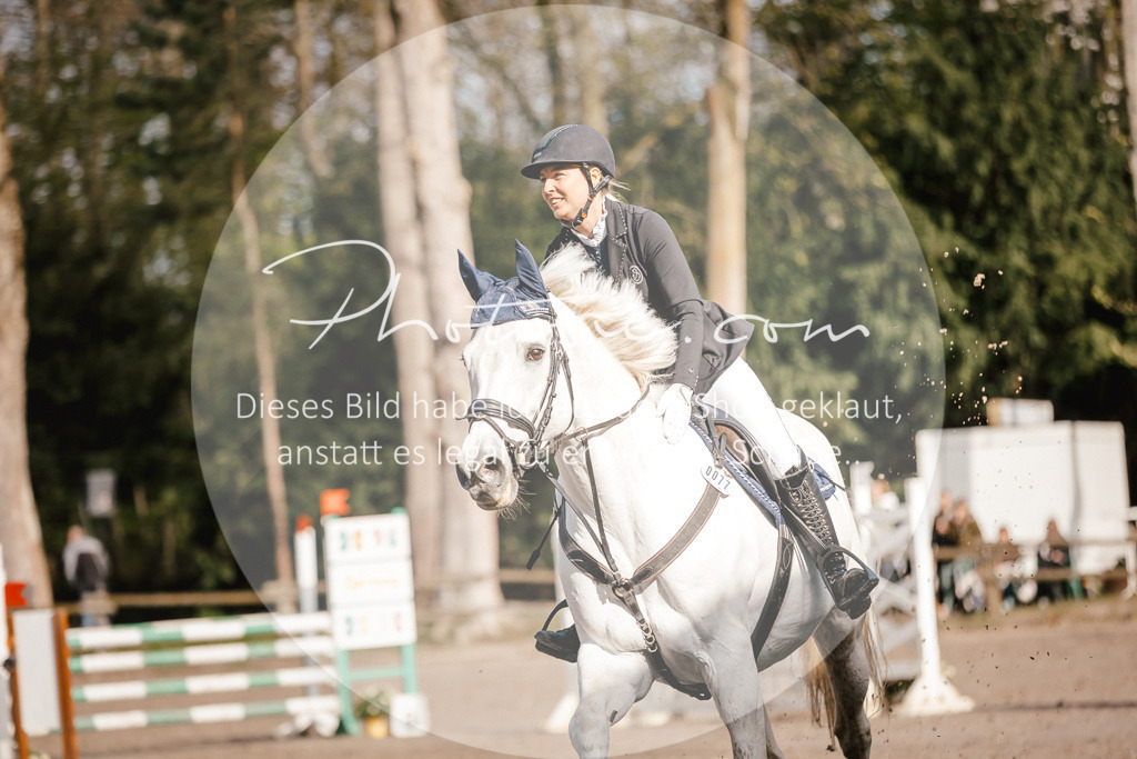 3I6A3534 | Stimmungsvolle Portraits und Reitsportfotografie im Ruhrgebiet und im Münsterland.

Pferdefotografie, Hundefotografie, Tierfotografie, Reportagen, Portraits von Tier und Mensch, Turnierfotografie in Bochum, Recklinghausen, Marl, Haltern am See, Dülmen.. - Realisiert mit Pictrs.com