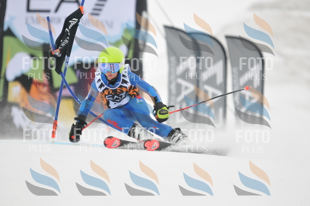 DSC_7720 | holidayphoto