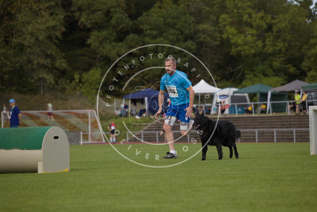 0L8A3658 | Hundefotografie, Tierfotograf, Pfotenfotografie, Fotoshooting Hund, Hunde Portrait, Hundesport, Hundeportraits, Heideshooting, Hunde, Sportfotograf, Hundefotograf, Turnierhundsport, THS,  - Realisiert mit Pictrs.com