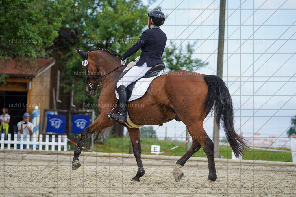 20230826-FAH05167 | Forstinning, 2023, Dressurturnier, Turniersportbilder, Turnierfotografen Bayern, Fotoagentur Herrmann, Reitsportfotografie, Turnierbilder