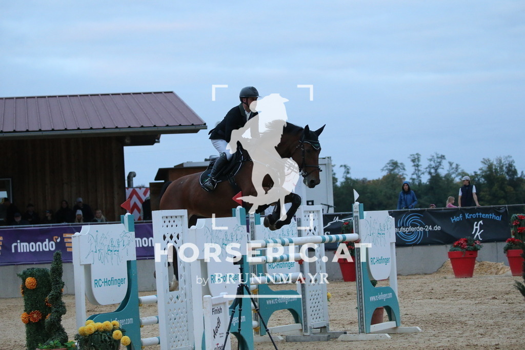 DL2Q6742 | Willkommen bei Brunnmayr - Design & Fotografie – Ihrem Spezialisten für Reitturniere und Pferdeveranstaltungen in Oberösterreich, Salzburg und Bayern! Seit über 17 Jahren sind wir leidenschaftlich dabei.