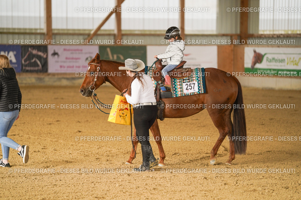 DSC00556 | Pferdegrafie