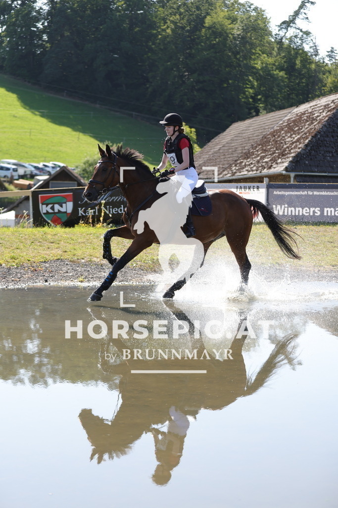 0P6A6299 | Willkommen bei Brunnmayr - Design & Fotografie – Ihrem Spezialisten für Reitturniere und Pferdeveranstaltungen in Oberösterreich, Salzburg und Bayern! Seit über 17 Jahren sind wir leidenschaftlich dabei.