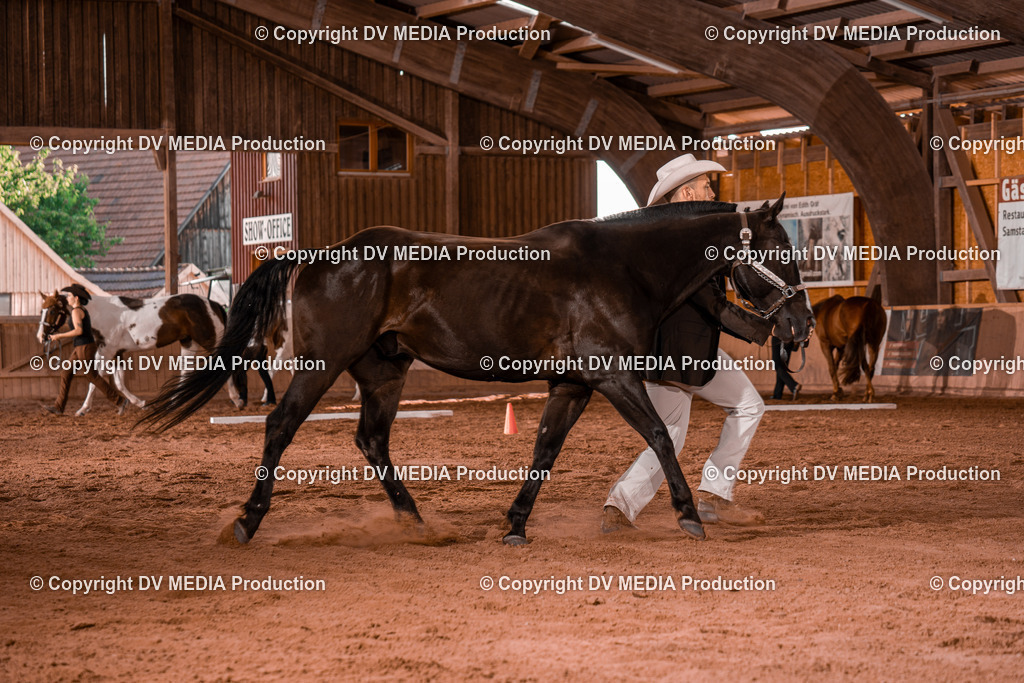 NE200071 | dv-media-shop - Realisiert mit Pictrs.com