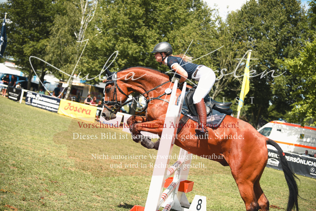 DSC_6481 | Pferde- und Turnierfotografie in Westsachsen. Pferdeportraits, Auftragszeichnungen und intuitive Kunst.