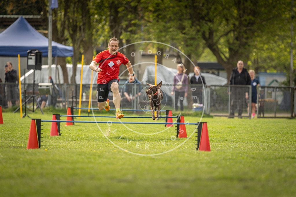 Pfotenfotografie_DV3A5992 | Hundefotografie, Tierfotograf, Pfotenfotografie, Fotoshooting Hund, Hunde Portrait, Hundesport, Hundeportraits, Heideshooting, Hunde, Sportfotograf, Hundefotograf, Turnierhundsport, THS,  - Realisiert mit Pictrs.com