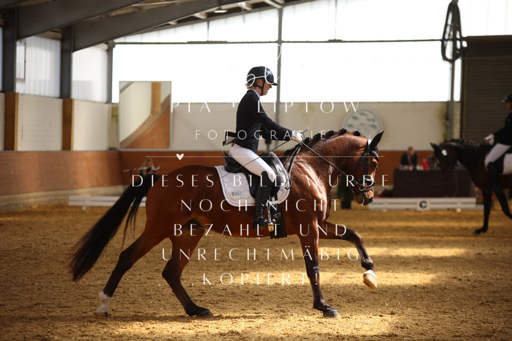 IMGT4371 | pl-fotografie