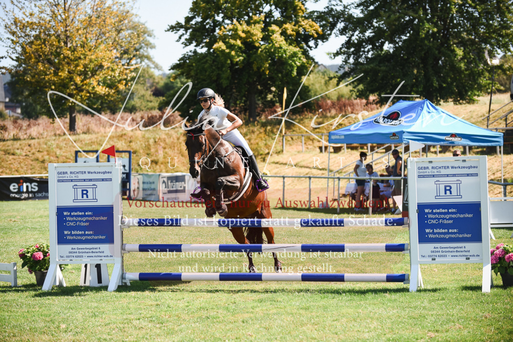 DSC_2719 | Pferde- und Turnierfotografie in Westsachsen. Pferdeportraits, Auftragszeichnungen und intuitive Kunst.