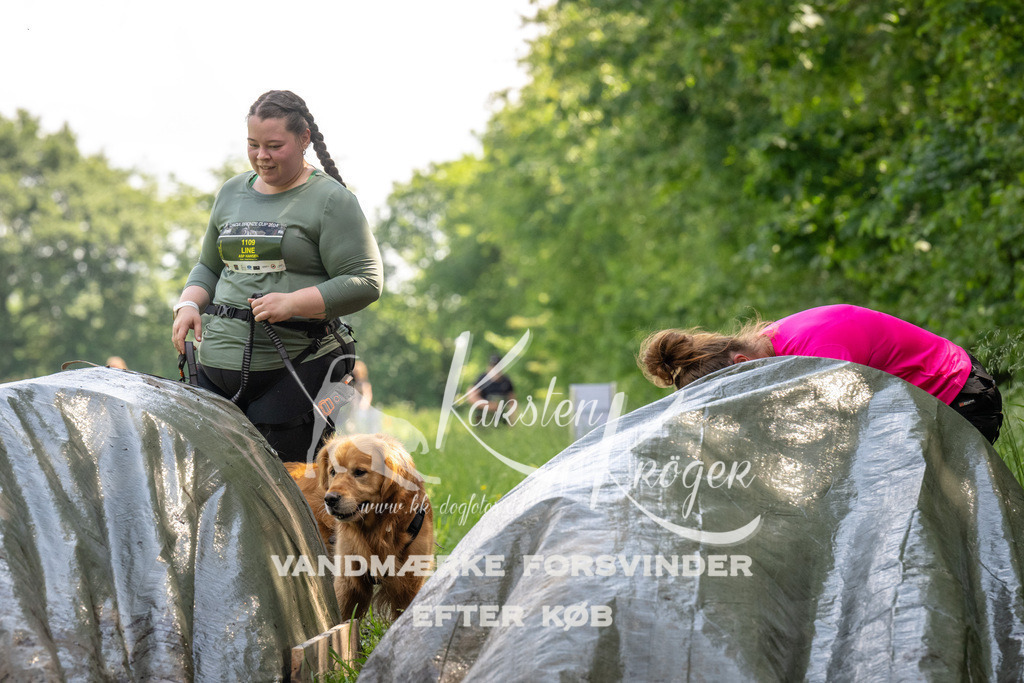 1159_ZZ90711 | kk-dogfotos