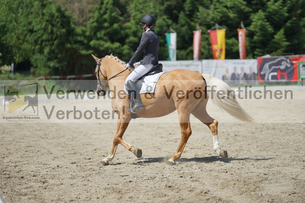 DSC01694 | equestrian-live-com