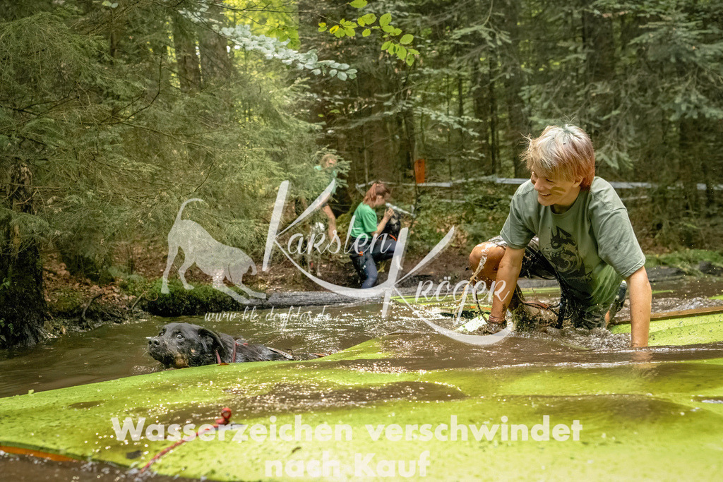1411_ZZ91317-Bearbeitet | kk-dogfotos