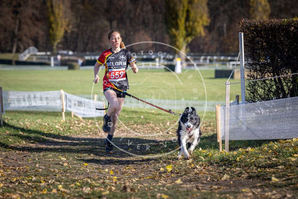 CaniXpix_DV3A8651 | Hundefotografie, Tierfotograf, Pfotenfotografie, Fotoshooting Hund, Hunde Portrait, Hundesport, Hundeportraits, Heideshooting, Hunde, Sportfotograf, Hundefotograf, Turnierhundsport, THS,  - Realisiert mit Pictrs.com
