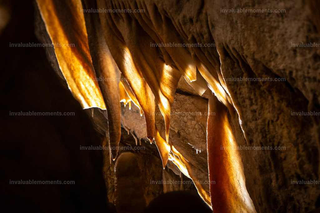 DJ0_2309 | invaluablemoments.com - Realisiert mit Pictrs.com