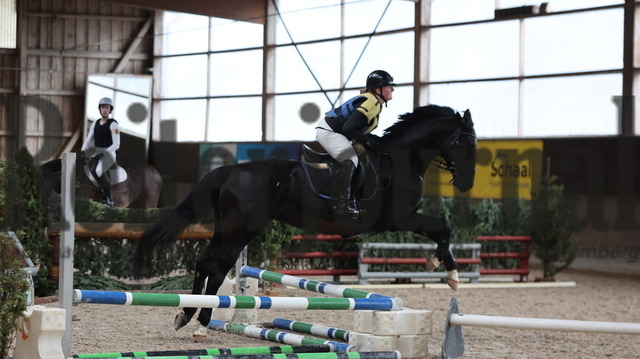 Pferdemarkt_Leonberg_Peter Thomsen_Unterrichtsstunde_Gruppe_03_2024 (4) | Alle Fotos der Reiterjournal Fotografin Doris Matthaes im Reiterjournal Online-Fotoshop. - Realisiert mit Pictrs.com