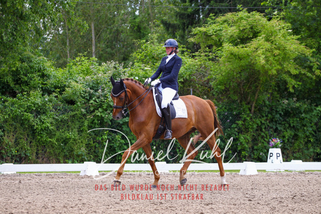 DKP41230 | Turnierfotos kaufen im Webshop von Daniel Kuhl Photography – entdecke professionelle Reitsportfotos aus Turnieren & Events. Hochwertige Turnierbilder online bestellen & sichern. Jetzt Fotos von Reitsportturnieren kaufen!