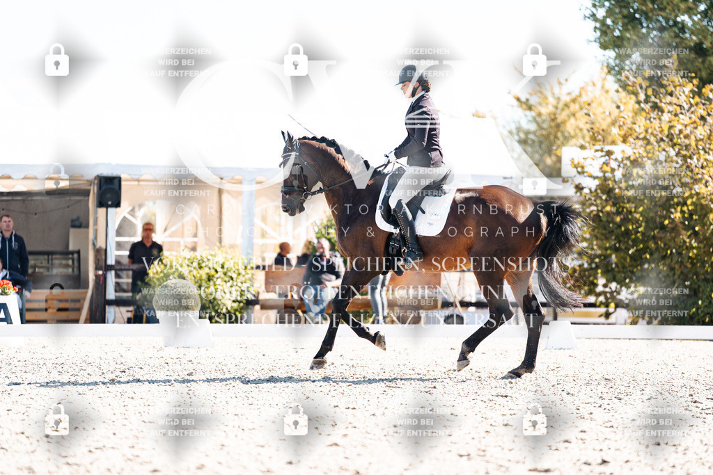 CK908730 | Turnierfotografie Pferdefotografie Trier Rheinland-Pfalz Pferdesport Reitsport Tierfotografie Sportfotografie Pferdevideo Pferdevideografie Equestrianvideography equestrianphotography  - Realisiert mit Pictrs.com