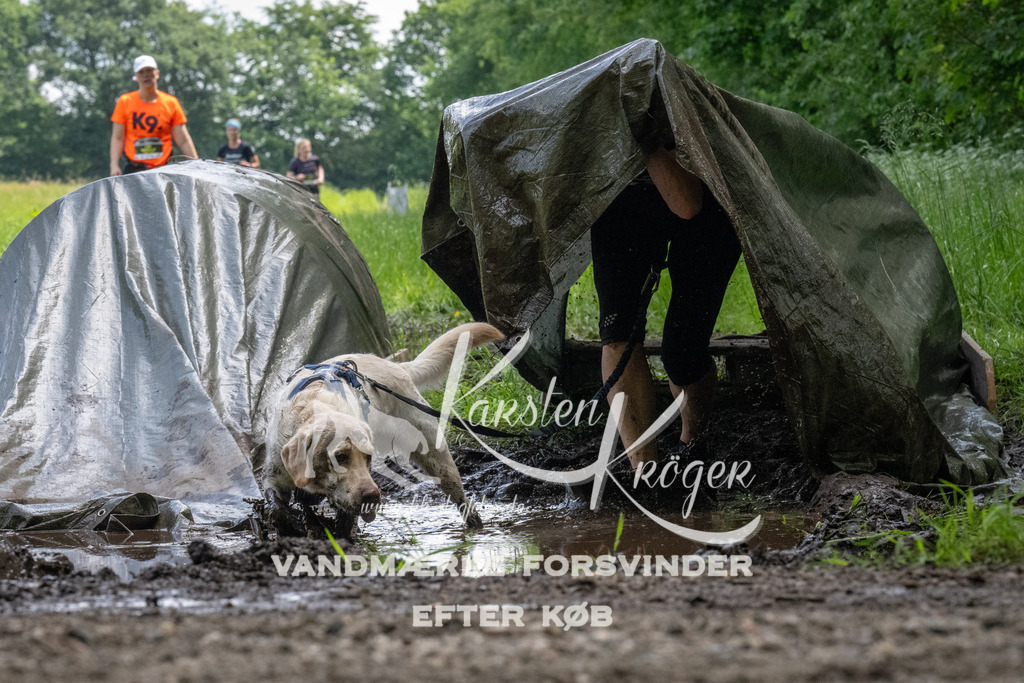 1144_ZZ94270 | kk-dogfotos