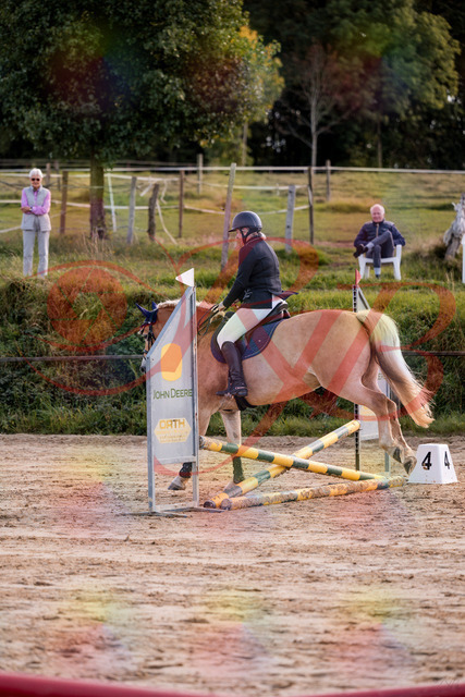 2026_10_03_Siefer-Hof_145305_Z81_32675344 | Professionelle Reitsport-, Turnier- und Eventfotografie von Robert Broda. Galerien mit ausgewählten und bearbeiteten Bildern direkt online ansehen und bestellen.