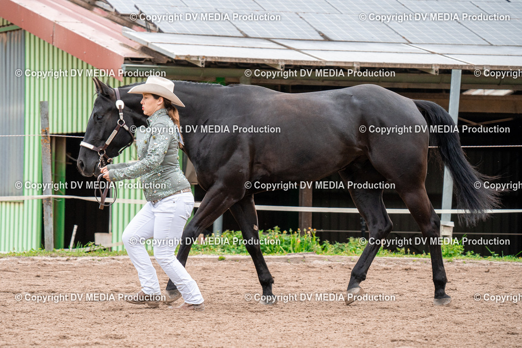 BA300174 | dv-media-shop - Realisiert mit Pictrs.com