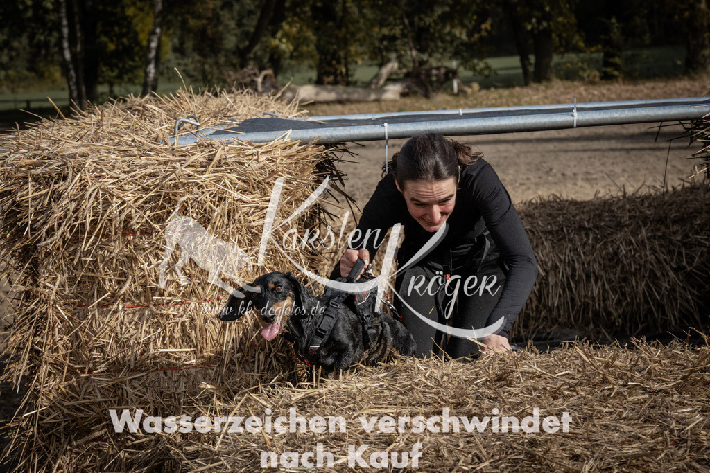 1213_ZZ93751 | kk-dogfotos