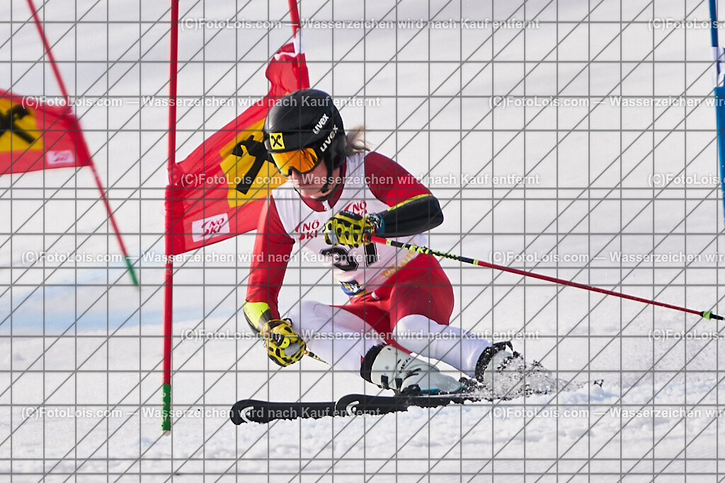 ALP8336_Herrn-FIS-GS-II_Lackenhof-WY_Gstrein Niklas | Internationaler FIS GiantSlalom der Herrn auf der Distelpiste in Lackenhof am Di 11. März 2025.  Österreich, LSV-NÖ, Sportunion Waidhofen/Ybbs (2035).