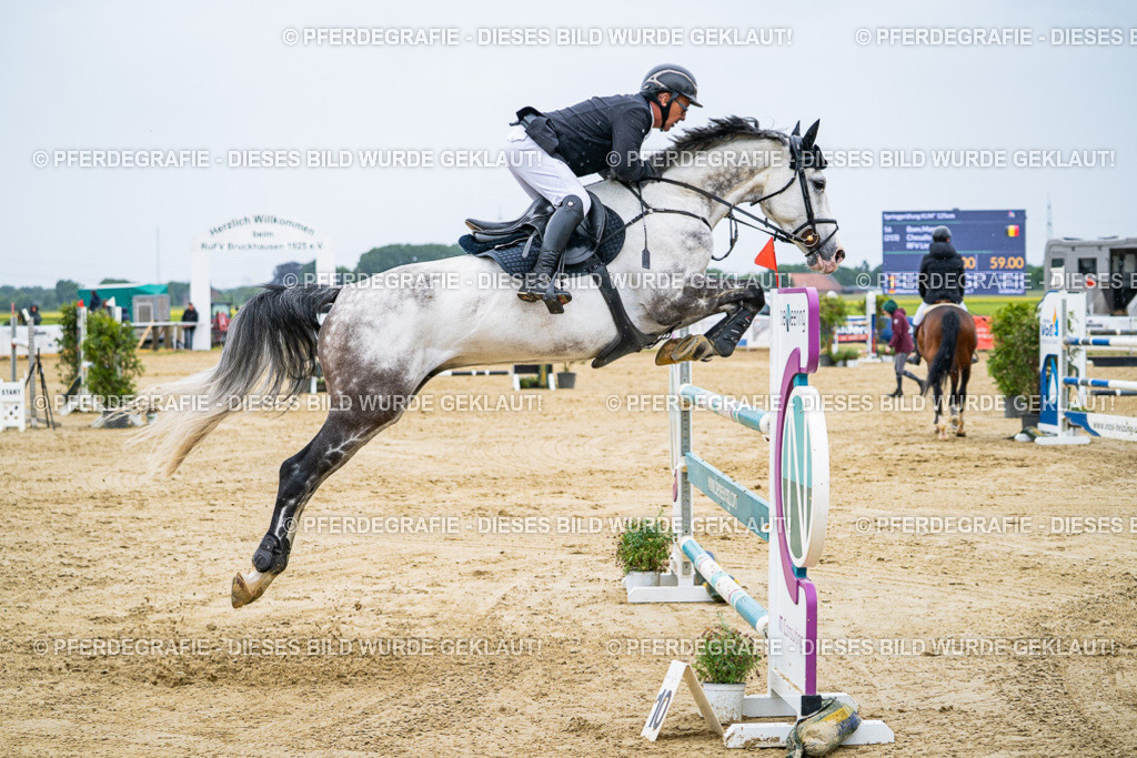 DSC08425 | Pferdegrafie