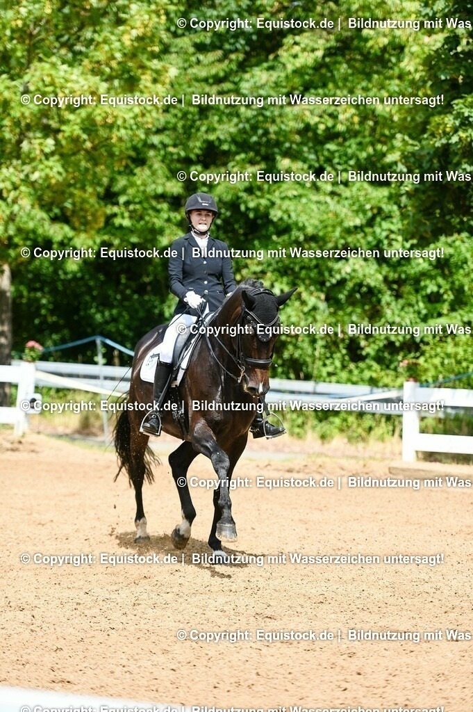 20230716_01_Dressurprüfung Kl.M_0056 | equistock