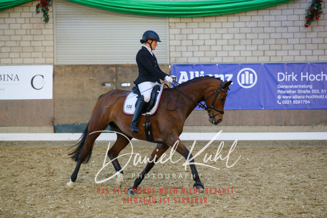 IMG_2980 | Turnierfotos kaufen im Webshop von Daniel Kuhl Photography – entdecke professionelle Reitsportfotos aus Turnieren & Events. Hochwertige Turnierbilder online bestellen & sichern. Jetzt Fotos von Reitsportturnieren kaufen!