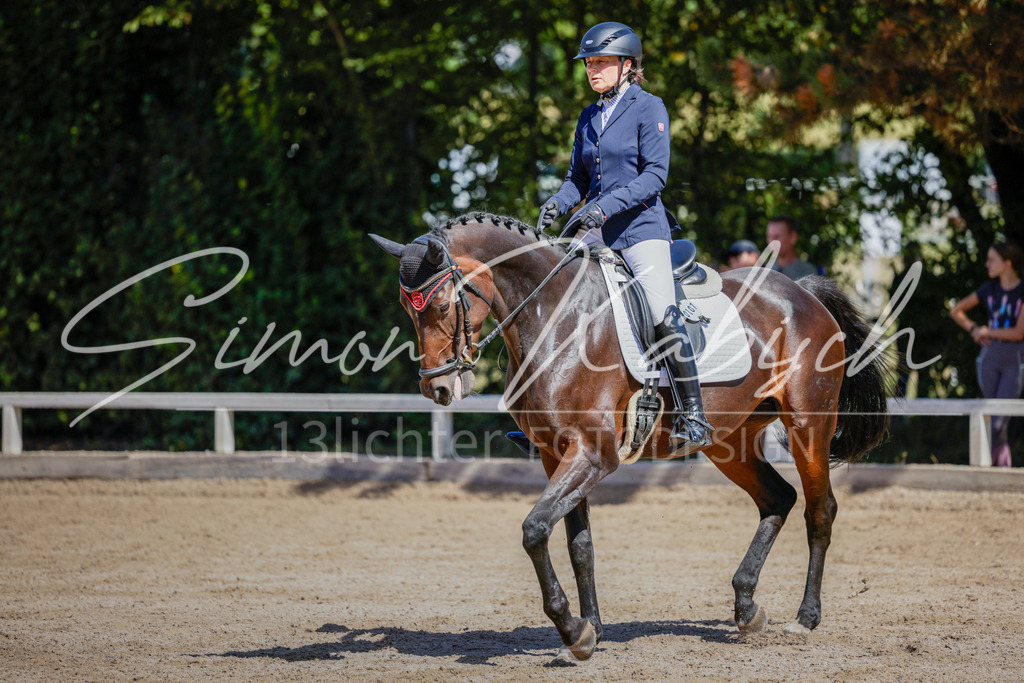 20250906-_3LI4314 | Tierfotografie Pferde, Hunde, Katzen, Haustiere.
Turnierfotografie Reitturniere, Reiten, Springreiten, Dressur in Hanau, dem Main-Kinzig-Kreis und dem Rhein-Main- Gebiet um Frankfurt