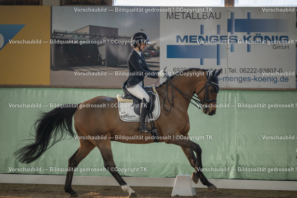 _D5A3880 | Emotionale Pferde- & People-Fotografie rund um Heidelberg, Leimen & Umgebung. Natürliche Fotos von Pferd, Mensch & Familie. Jetzt Termin sichern!